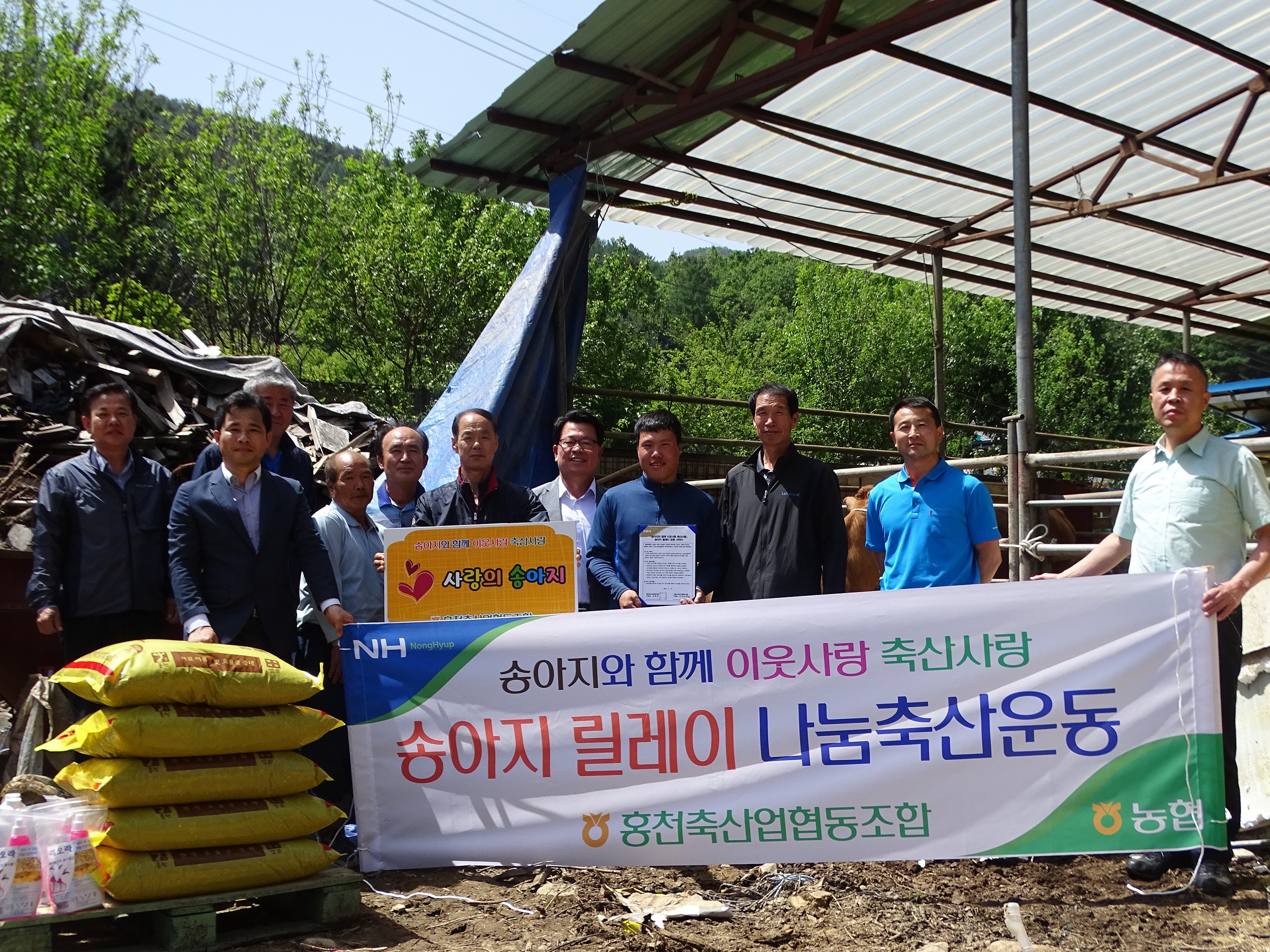 송아지 렐레이 95.jpg