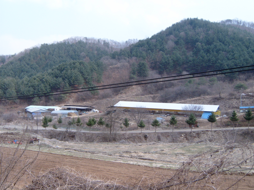 S3500002.JPG