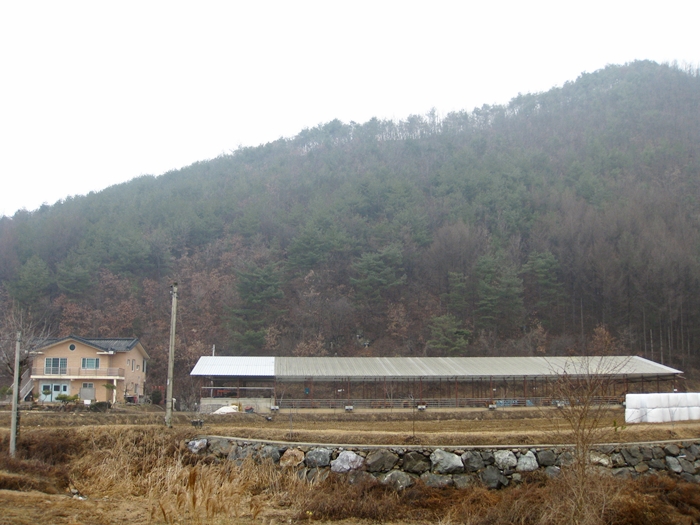 사진 006photo.jpg