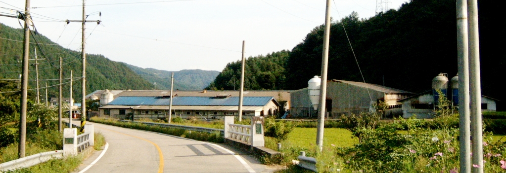 S3500008.JPG