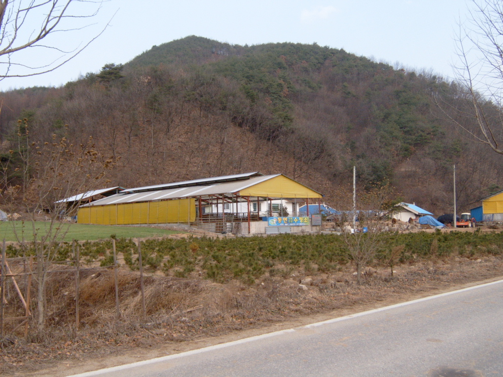 S3500002.JPG