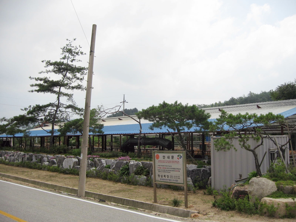 사진 553.jpg