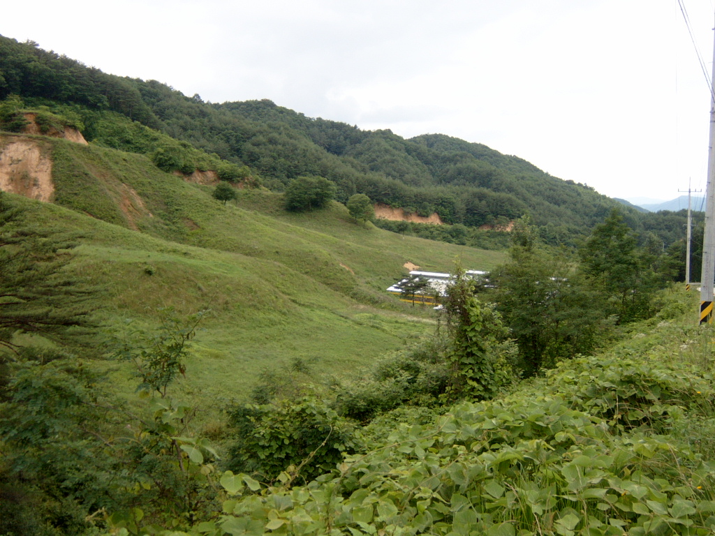 생축장1.jpg