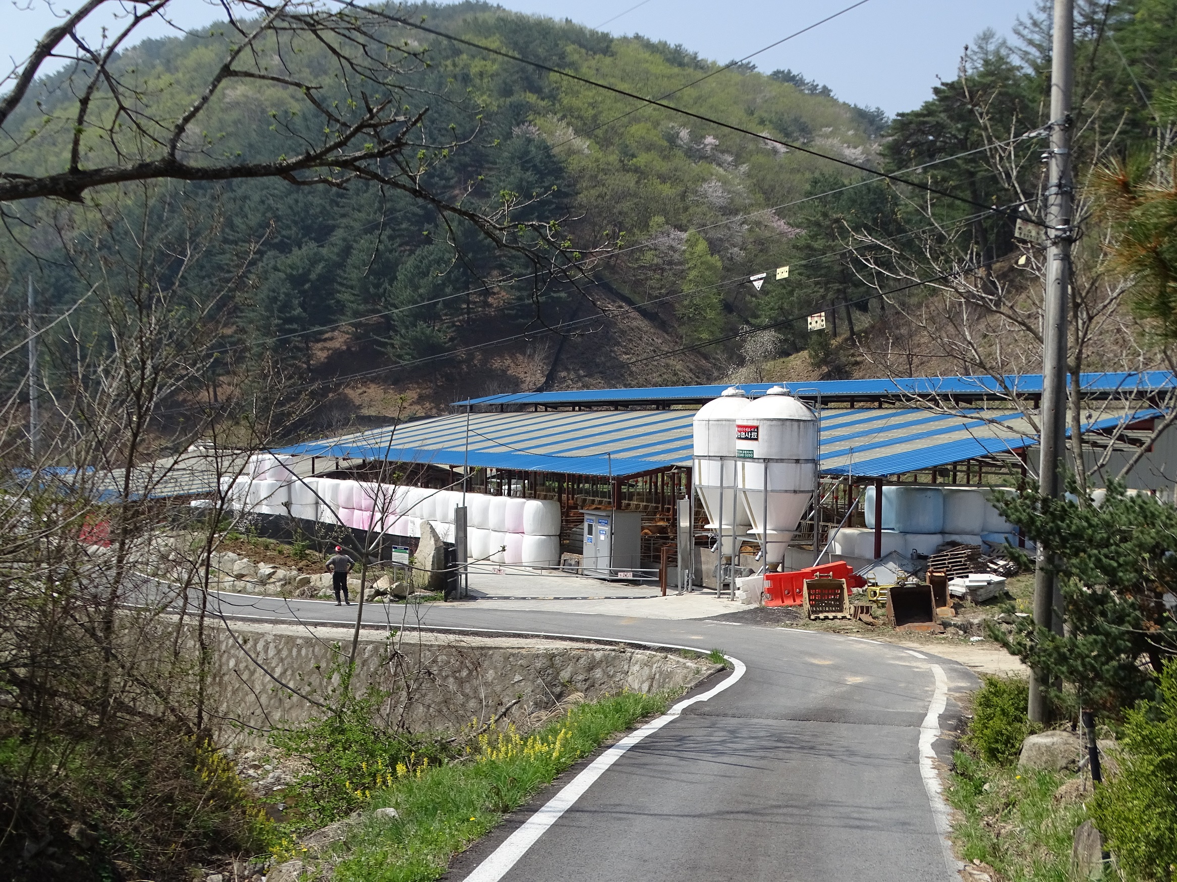사쟇ㄴSC05158.jpg
