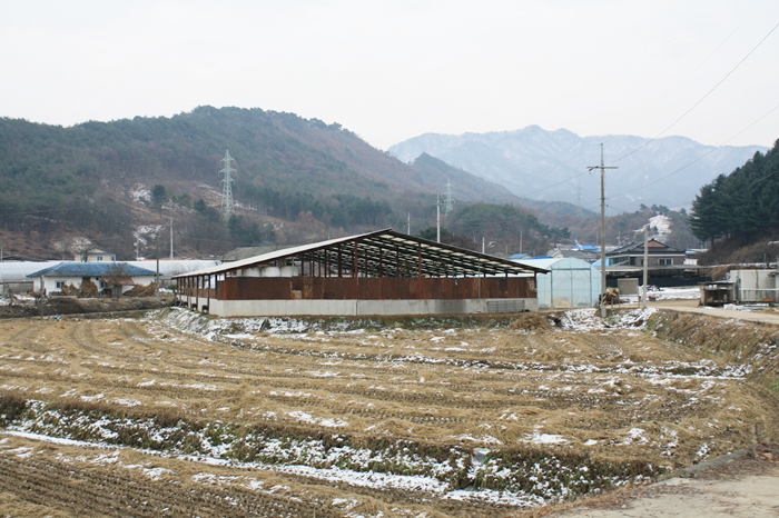 사진 006photo.jpg