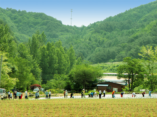 목장4.jpg