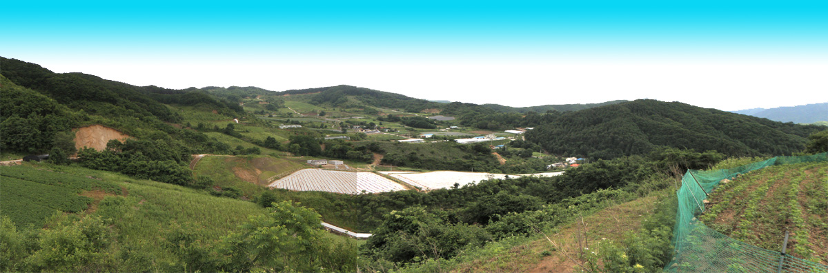 내면경천 copy.jpg