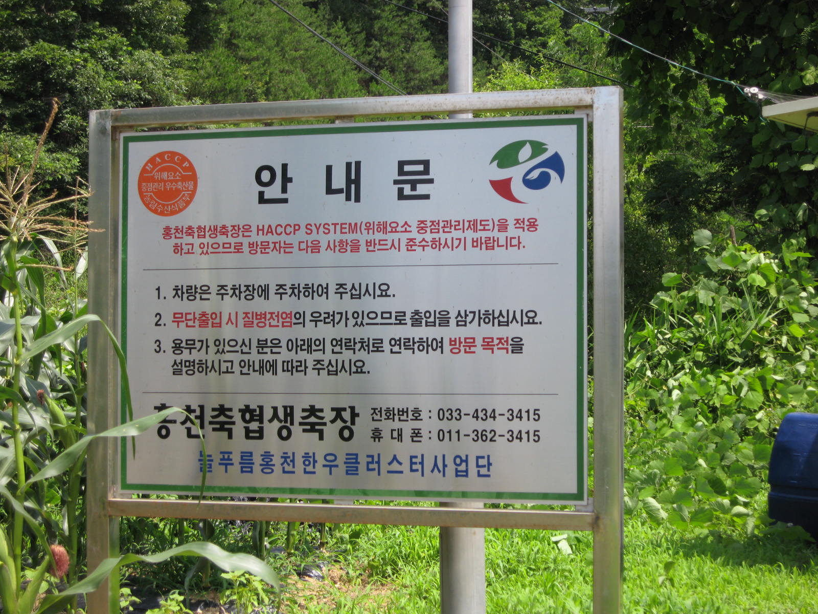 사진 584.jpg