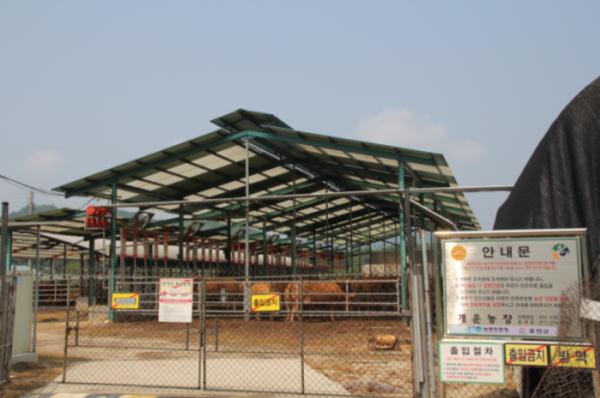 박일선1.JPG