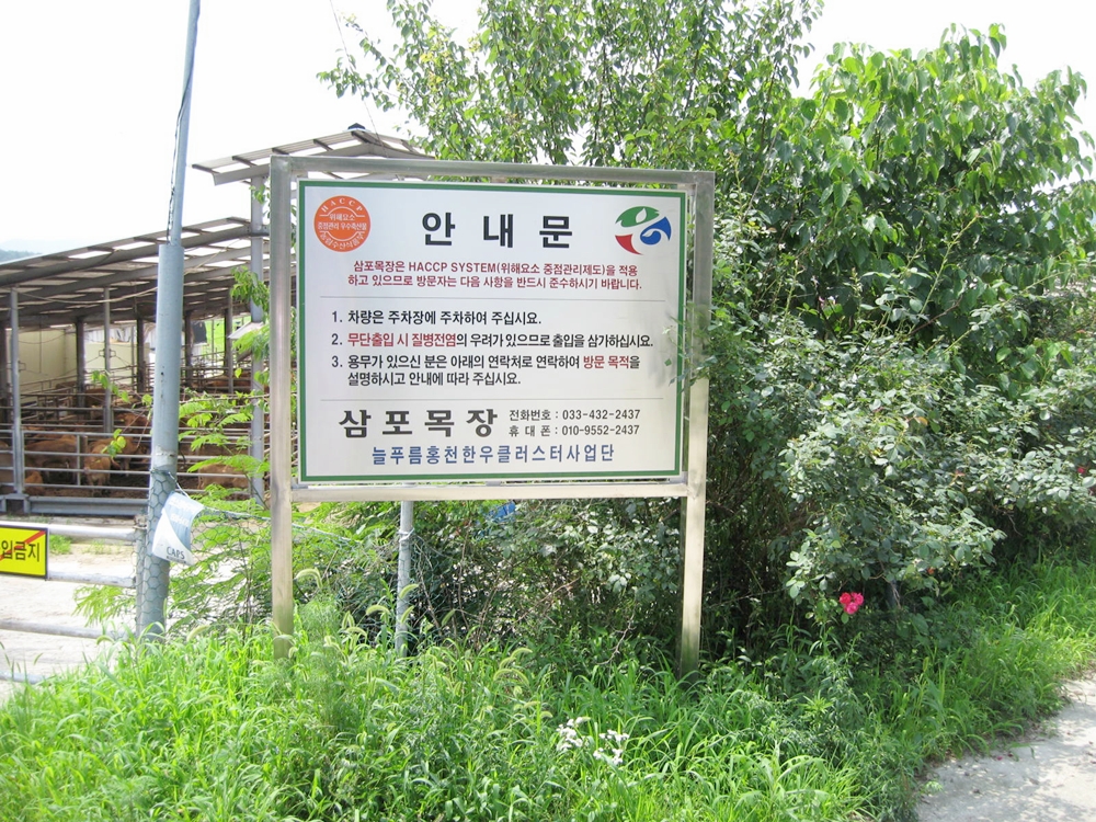 사진 595.jpg